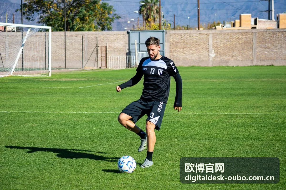 欧博官网品牌策略系统化推进展示